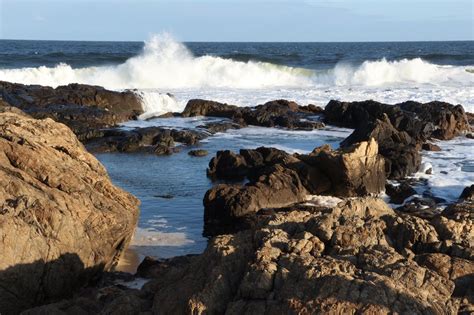punta del este tripadvisor|THE 10 BEST Things to Do in Punta del Este (Updated 2024).